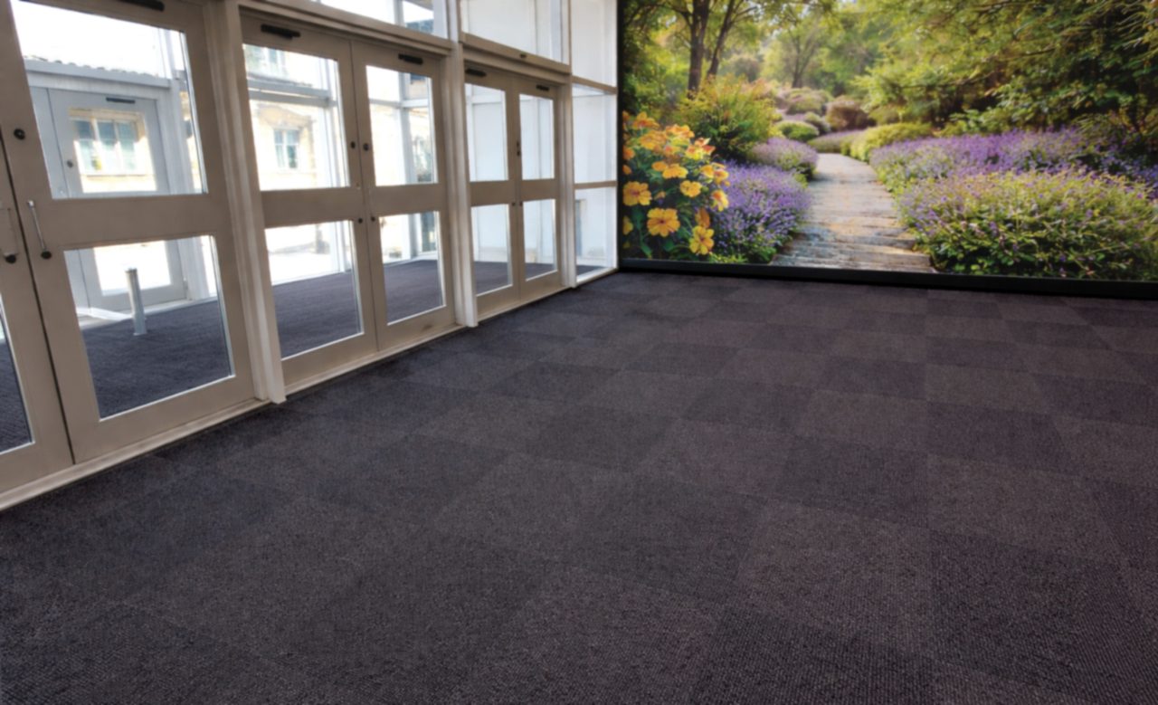 Atlas Plus Office entry