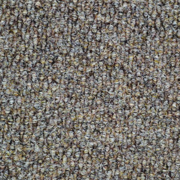 Champion XP Beige
