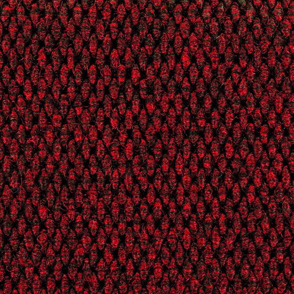 Champion XP Cardinal Red