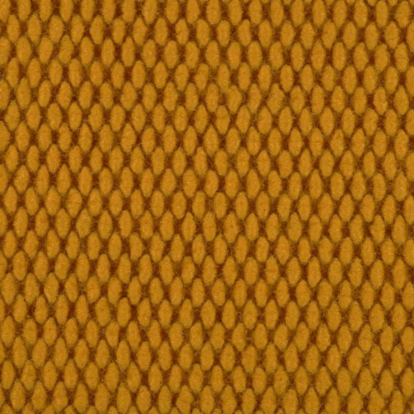 Champion Super Nop (CSN Customs) Gold
