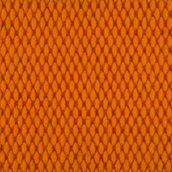 Champion Super Nop (CSN Customs) Orange