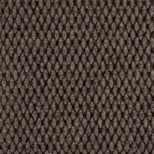 Champion Super Nop (CSN Customs) Taupe