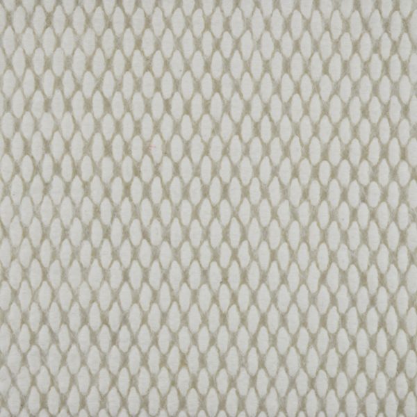 Champion Super Nop (CSN Customs) White