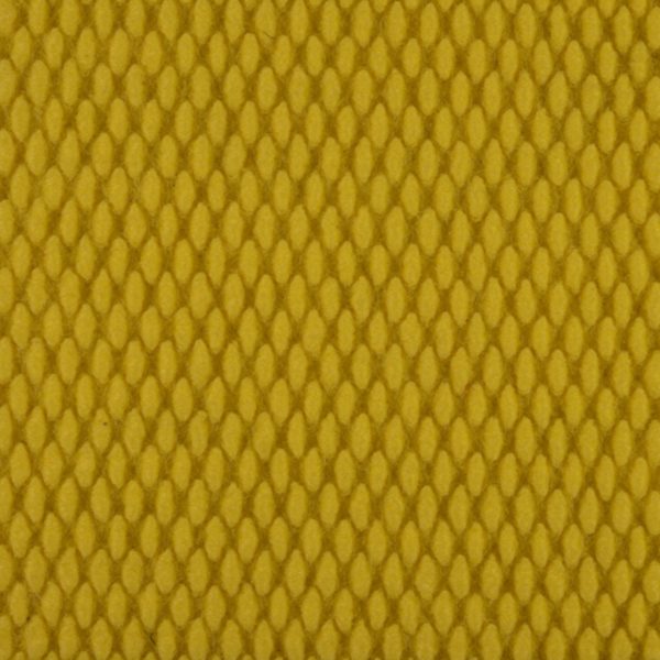 Champion Super Nop (CSN Customs) Yellow
