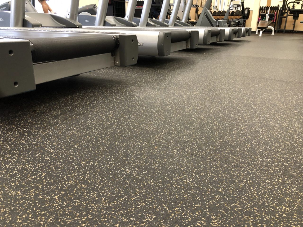 Elements 100 Series Cardio & treadmill zone