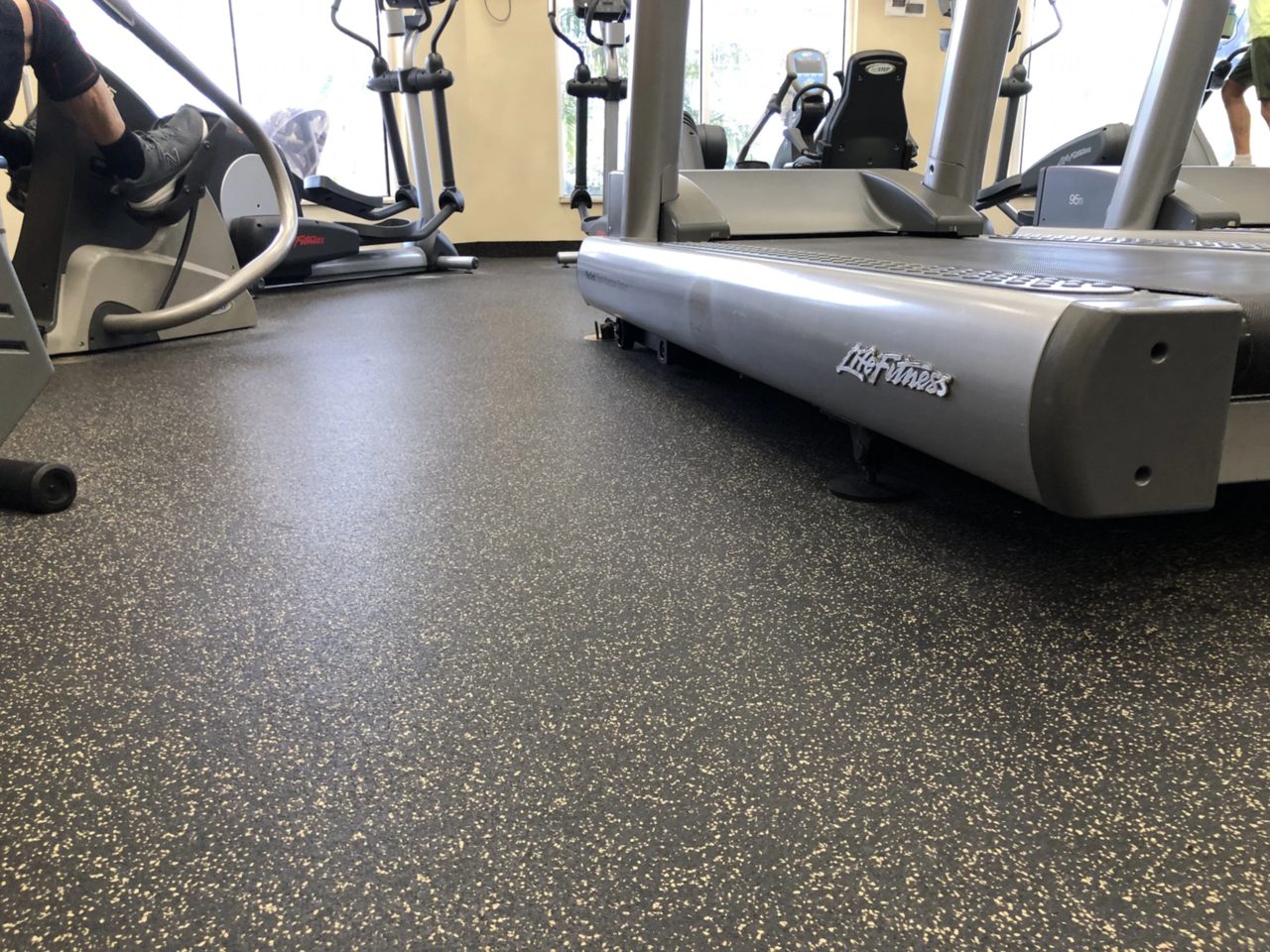 Elements 100 Series Cardio equipment area