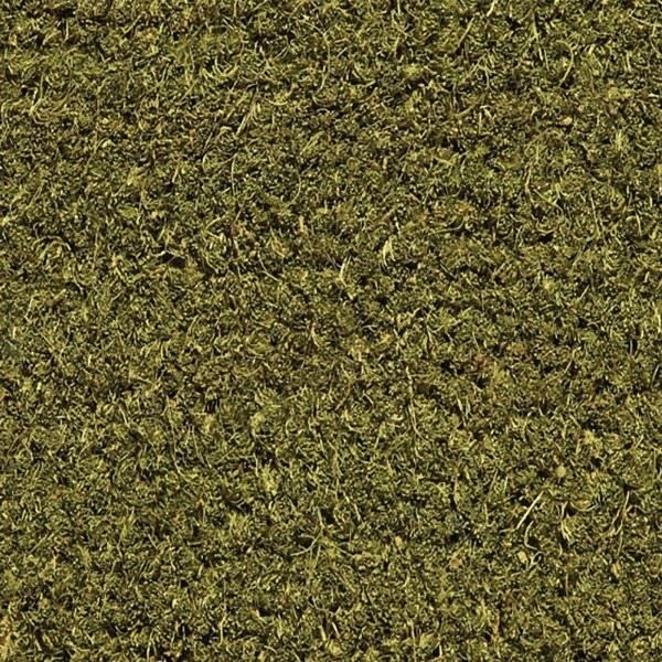 Natural Coco Custom Green