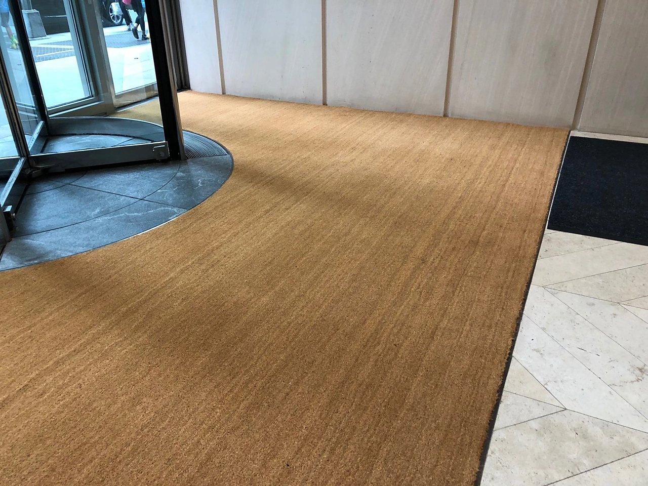 Natural Coco/Coir Natural coir fiber detail