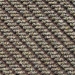 Olive 1594