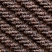 Walnut 113